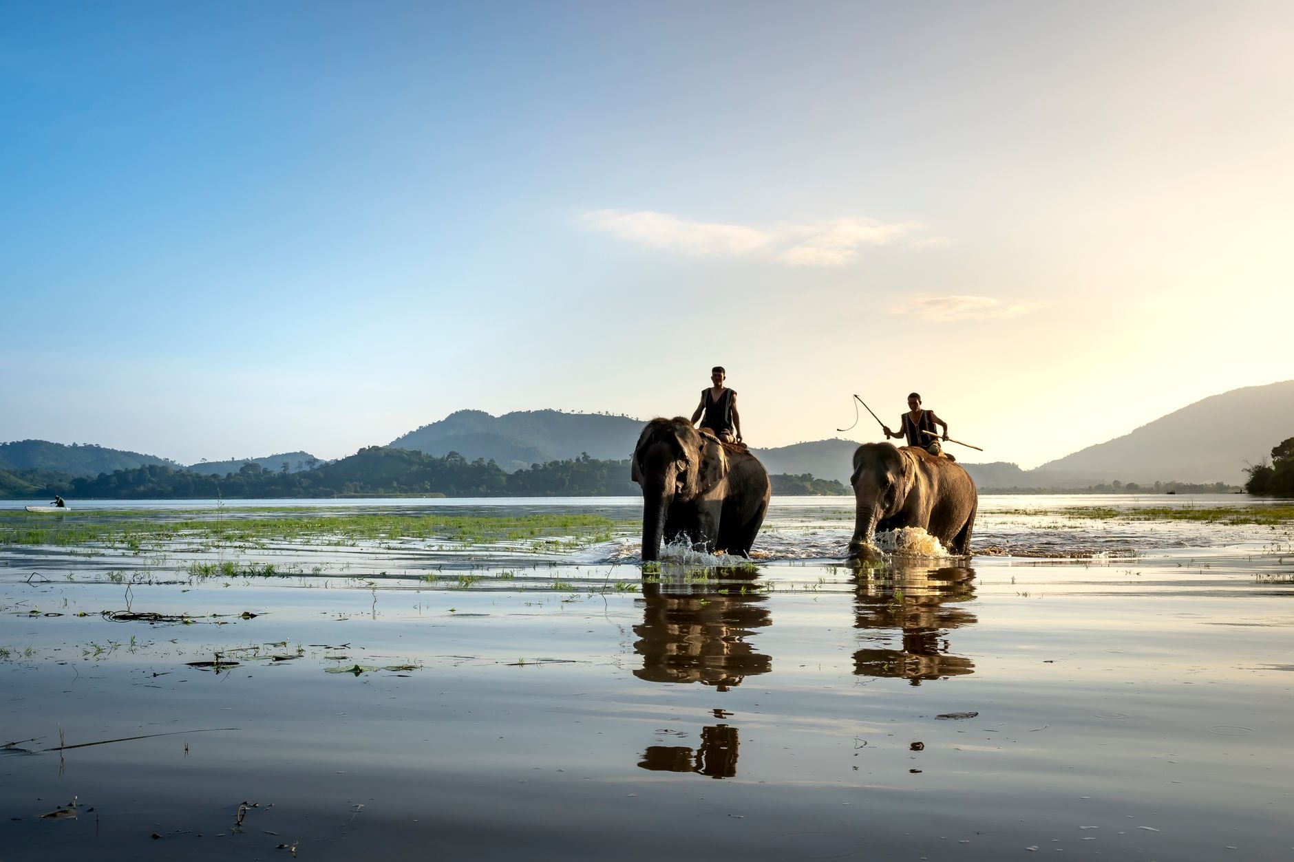 Anantara Golden Triangle Elephant Camp — unikat