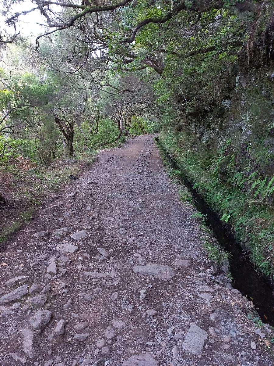 PR 6.1 Levada do Risco